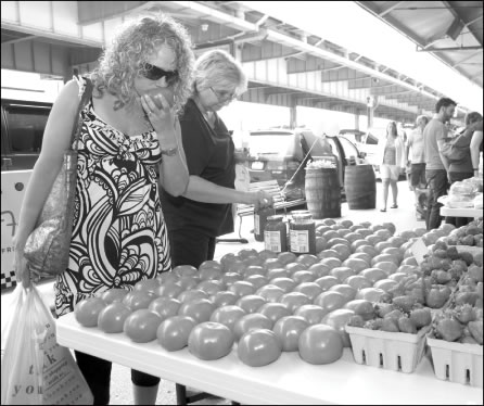 tomatoes-2009-06-04_z