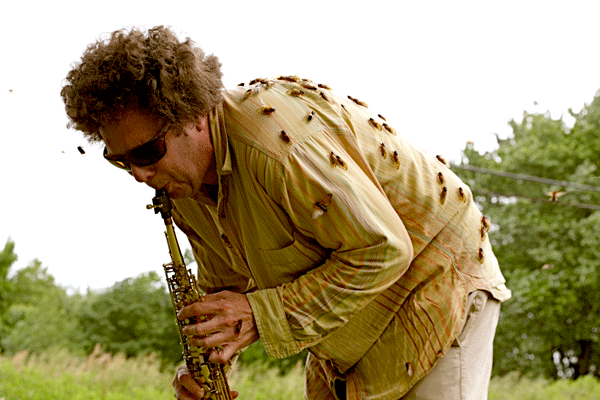 Photo courtesy of David Rothenberg David Rothenberg performing with cicadas. See “Insect Music.”