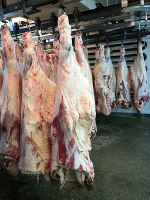 Photo by Jefferson Siegel John Jobbagy in his well-stocked refrigerated meat locker.