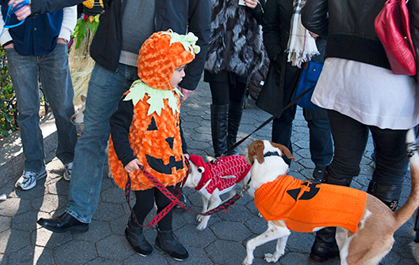 The 12th annual Halloween puppy parade on the Battery Park City esplanade took place on Oct. 26. It was co-hosted by the Battery Park City Dog Association and Bobby Concister of Le Pet Spa. Downt0wn Express photo Terese Loeb Kreuzer)