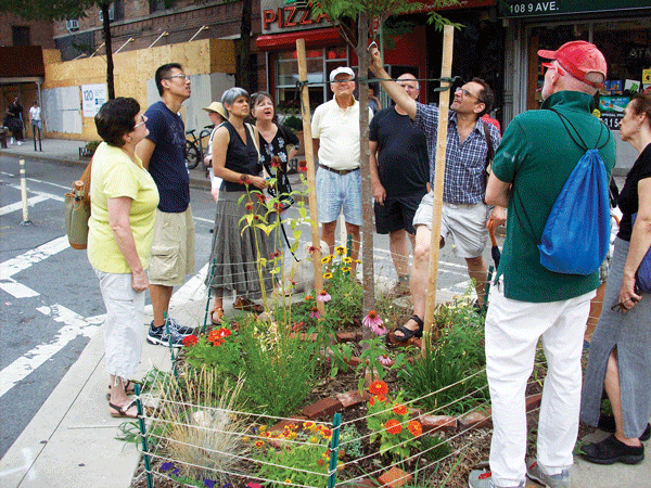 Photos by K. Adams Tree steward and Chelsea Garden Club member Paul Bodden (in white shorts, arm extended) discusses the health of a pin oak, on Ninth Ave. & W. 17th St. This year’s Tree Pit Tour starts at 9 a.m. on Aug. 16, at the very place Bodden stands. 