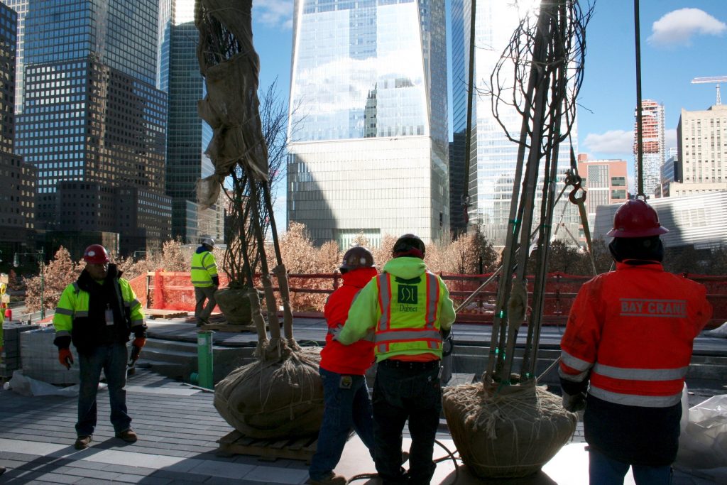 Photo by Yannic Rack Workers plant lower a tree into place in Liberty Park, with the Freedom Tower in the background.