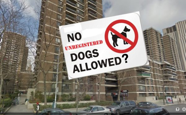 A proposal to require Southbridge Towers dog owners to register their pets of face eviction was put on ice for the summer after opponents turned out in force at the co-op board's open meeting on Thursday.