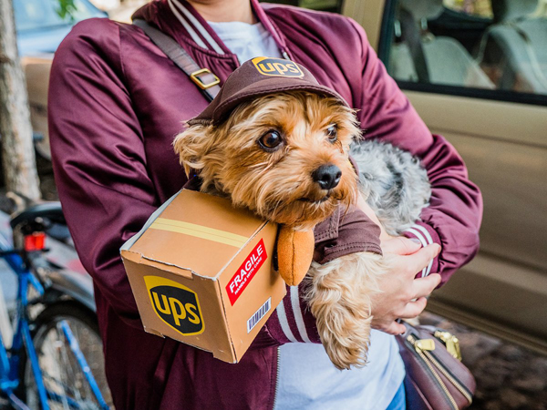 Photo by Milo Hess Little Rufus has a very special delivery for somebody.