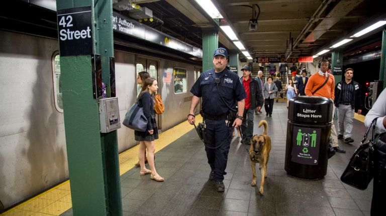 A day in the life of an NYPD Transit Police dog