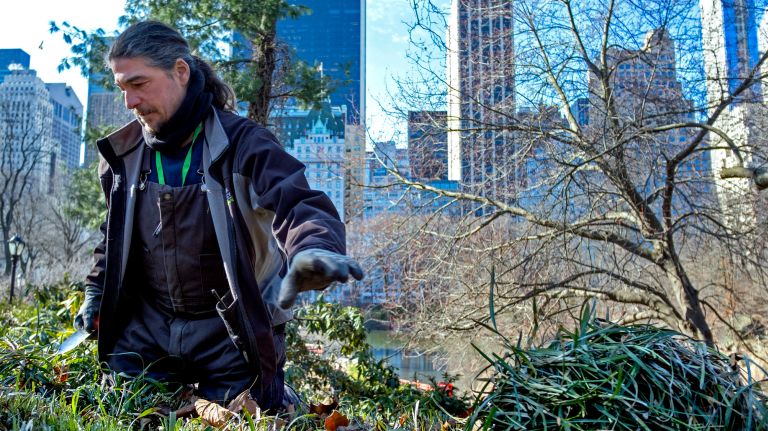 Cedar Hill  Central Park Conservancy