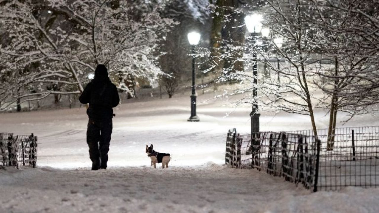 Nyc Weather Fast Moving Storm Dumps 5 Inches On Central Park