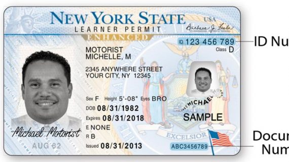 free new york drivers license template