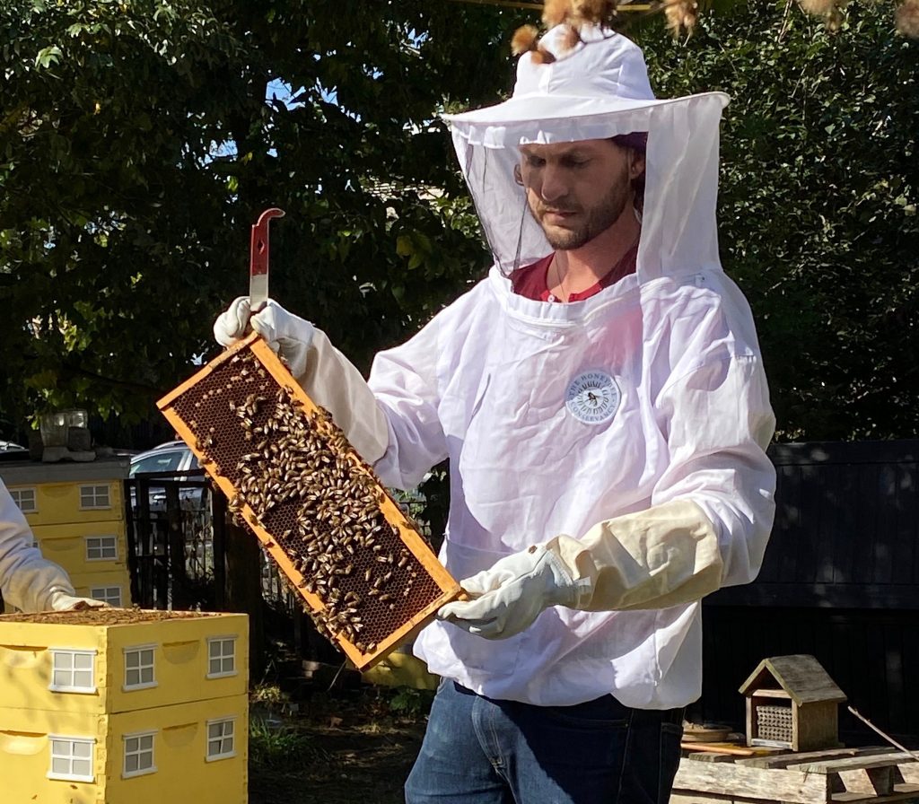 The buzz on local beekeepers: Working to protect the threatened species ...