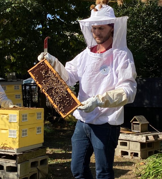 The buzz on local beekeepers & protecting the species | amNewYork