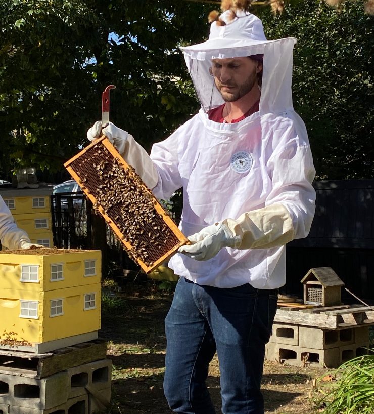 The Buzz On Local Beekeepers & Protecting The Species | AmNewYork