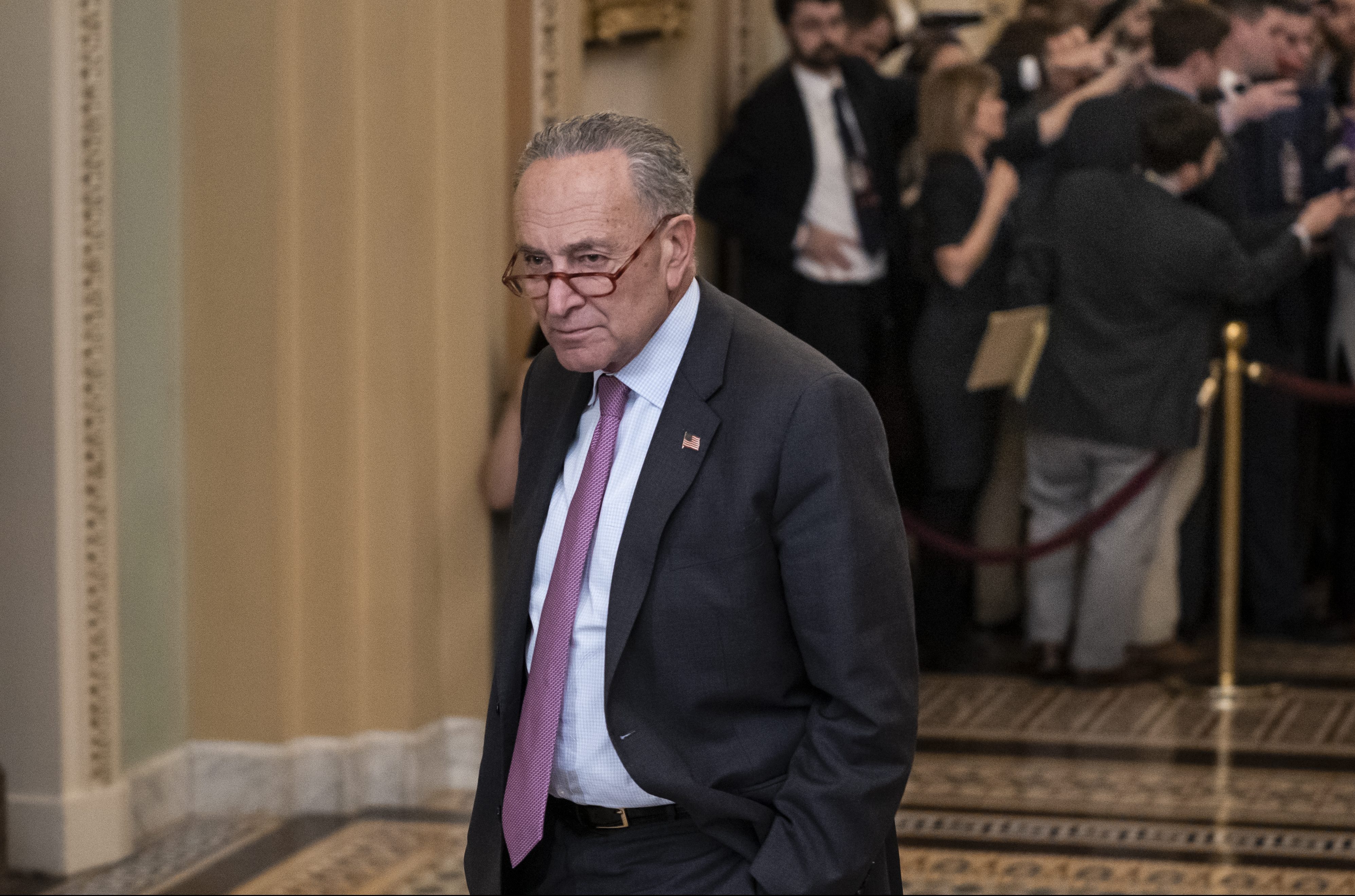 COVID-19 spread among Senators good reason to delay SCOTUS vote: Schumer