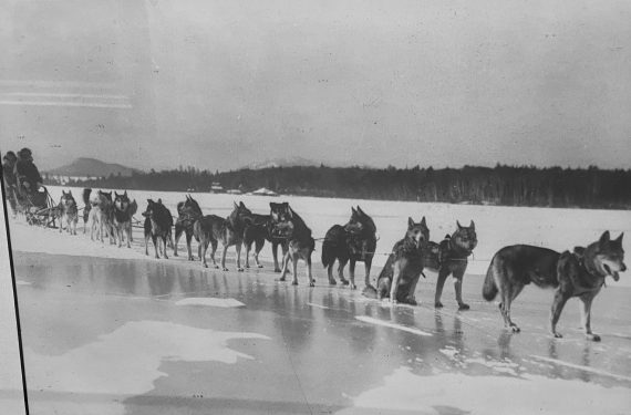 Learn the history of sled dogs at a Manhattan exhibition | amNewYork