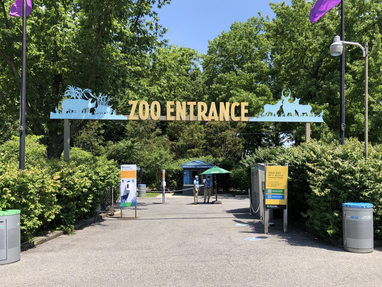 Go wild! Zoo’s galore and more as NYC attractions reopen amNewYork