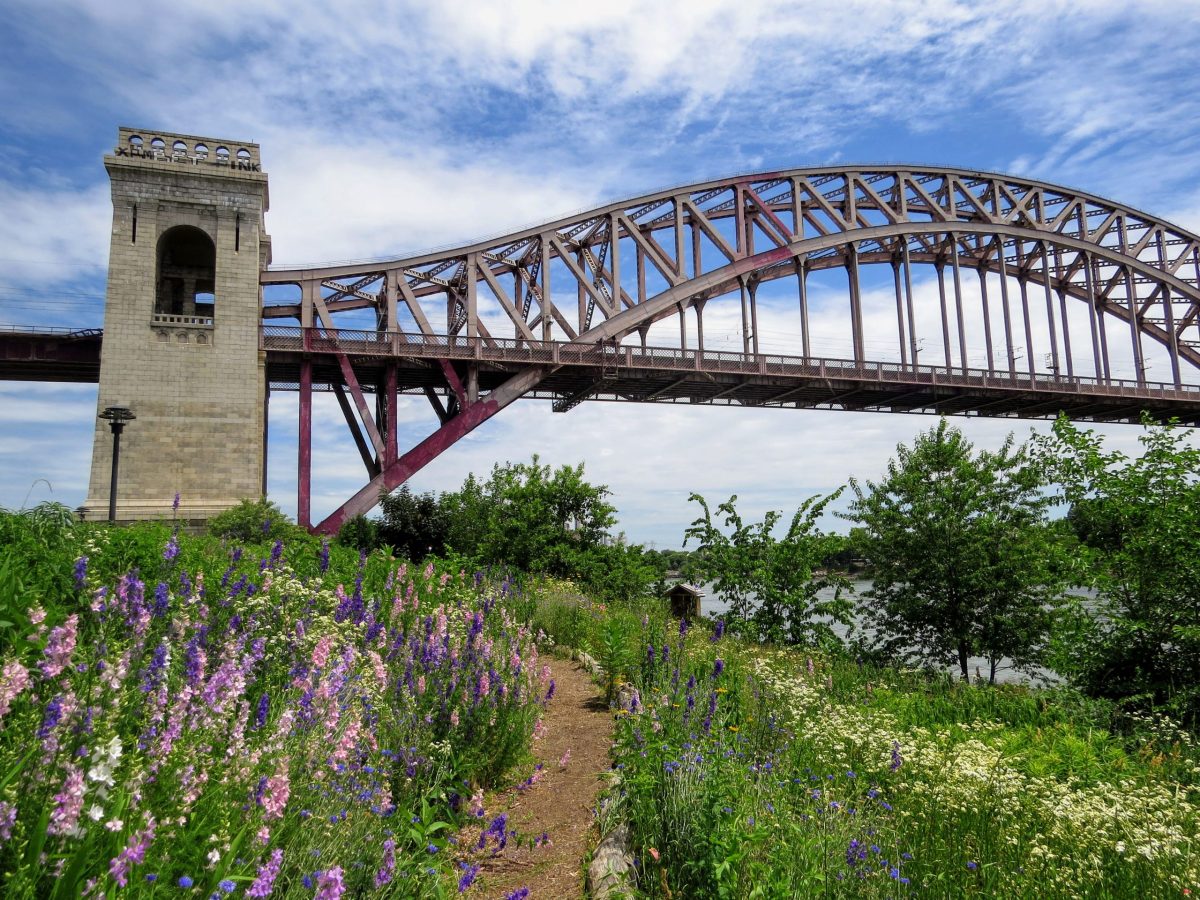 Randall's Island Park Alliance