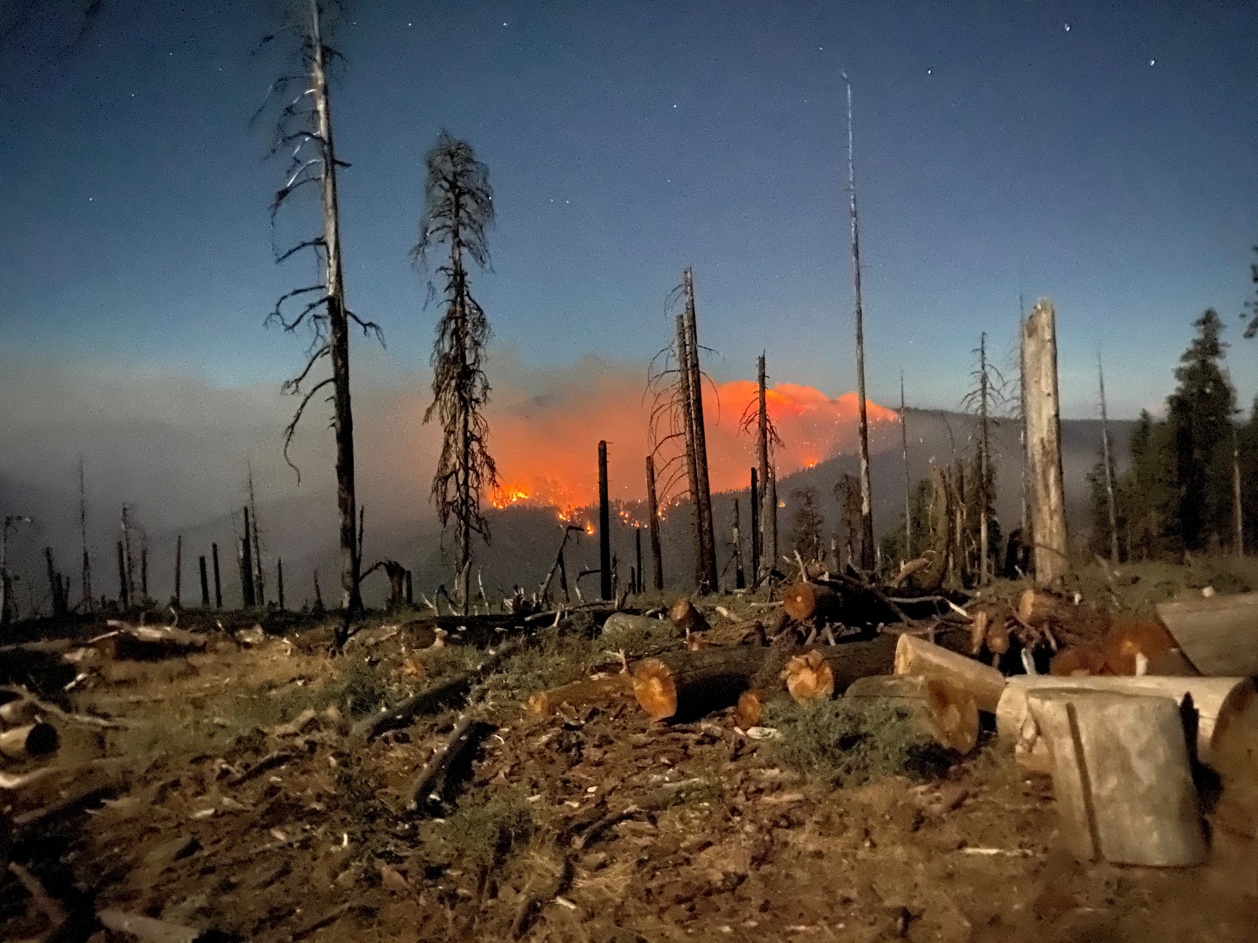 How to Help Fire-Ravaged California (and Oregon and Washington