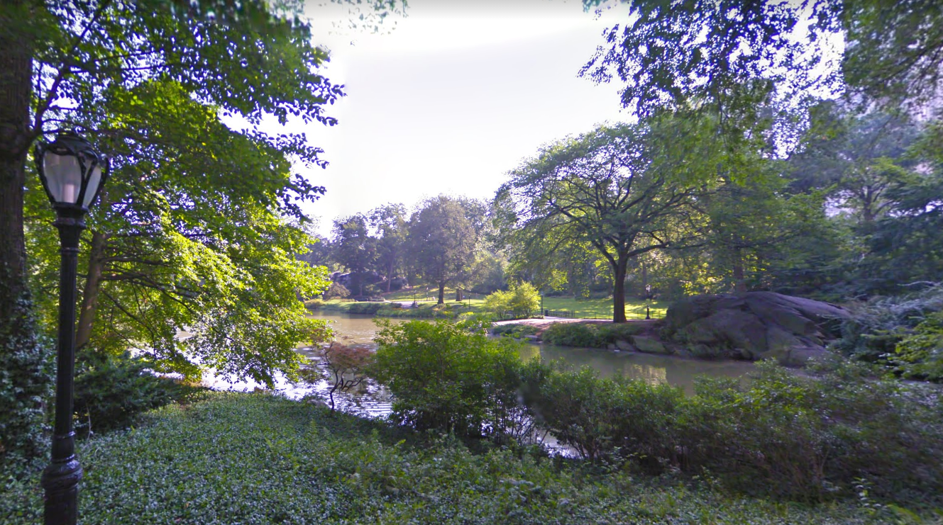 Body of unidentified man found floating in Central Park’s Swan Lake ...