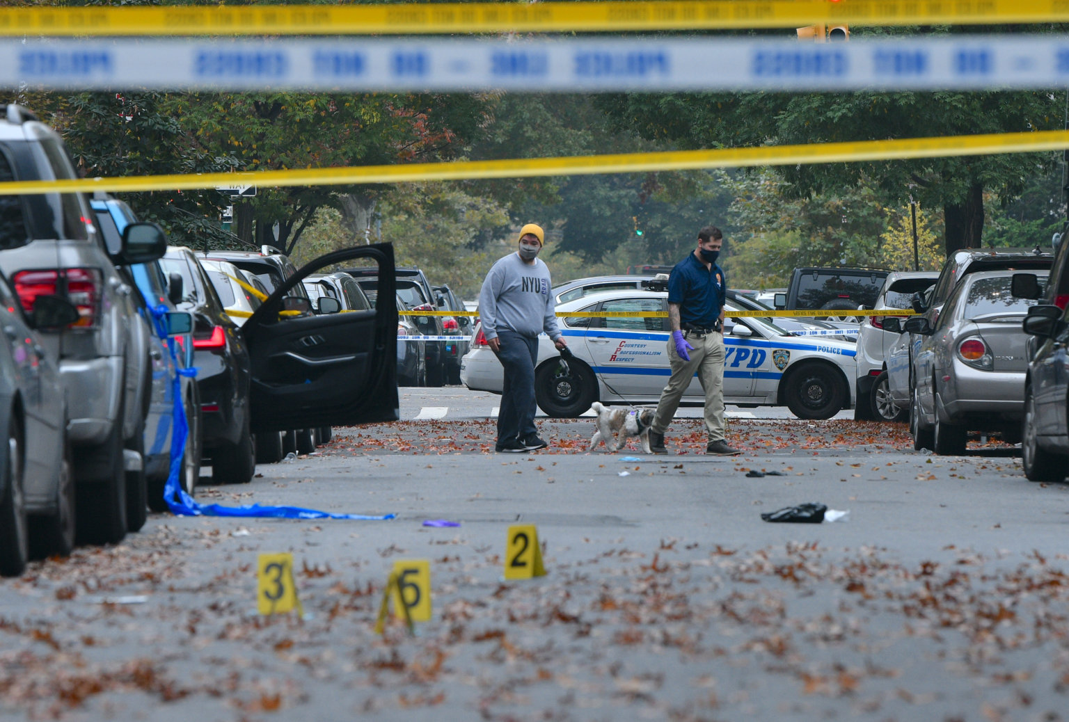 NYC SHOOTINGS: Bronx Man Slain In Housing Complex, Two Injured In ...