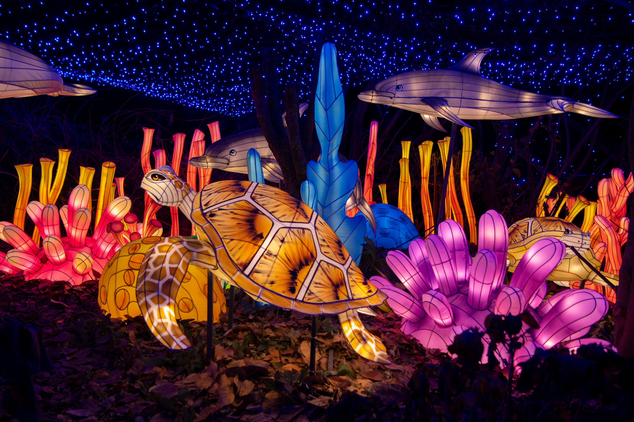 Bronx Zoo holiday lights shine brighter than ever this year amNewYork