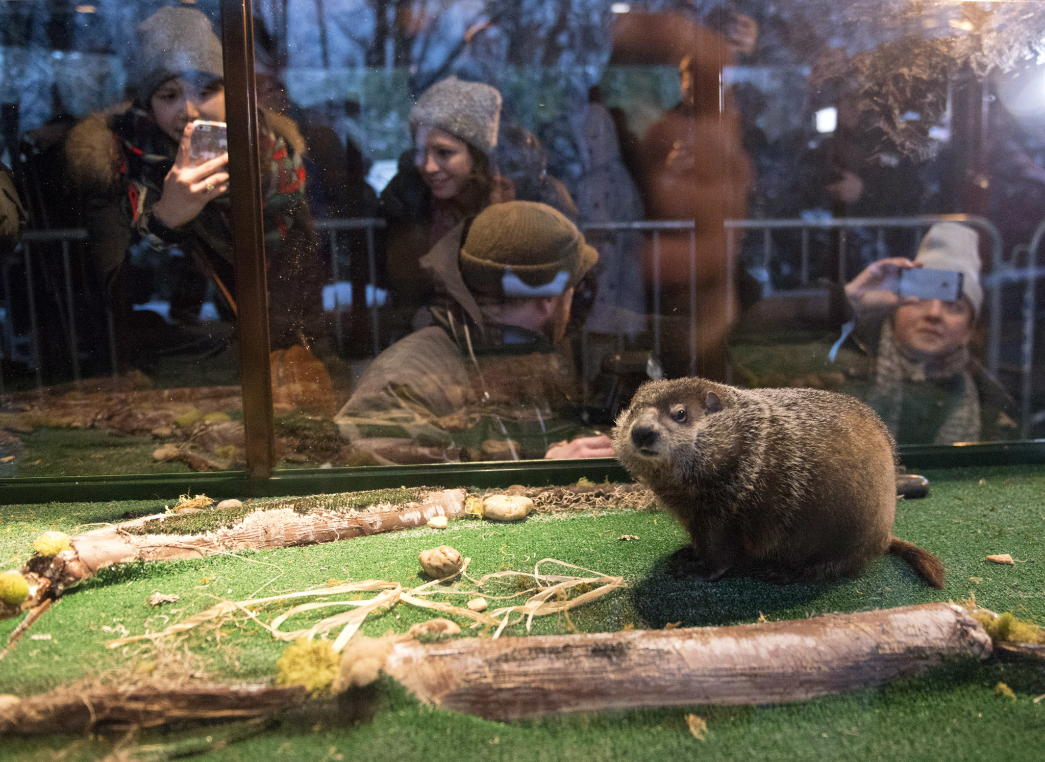 Staten Island Chuck to make prediction in virtual event on Groundhog Day amNewYork