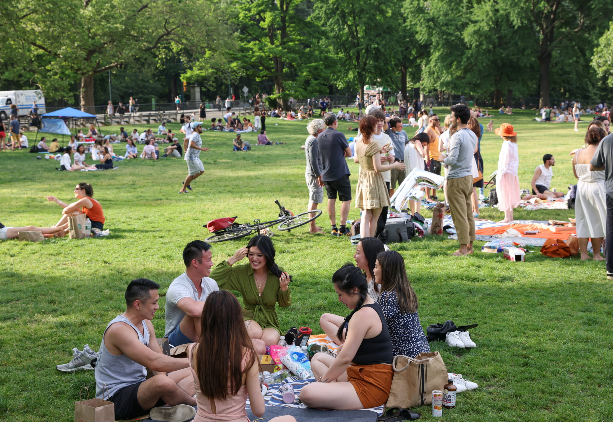 Massive Central Park comeback concert slated for August