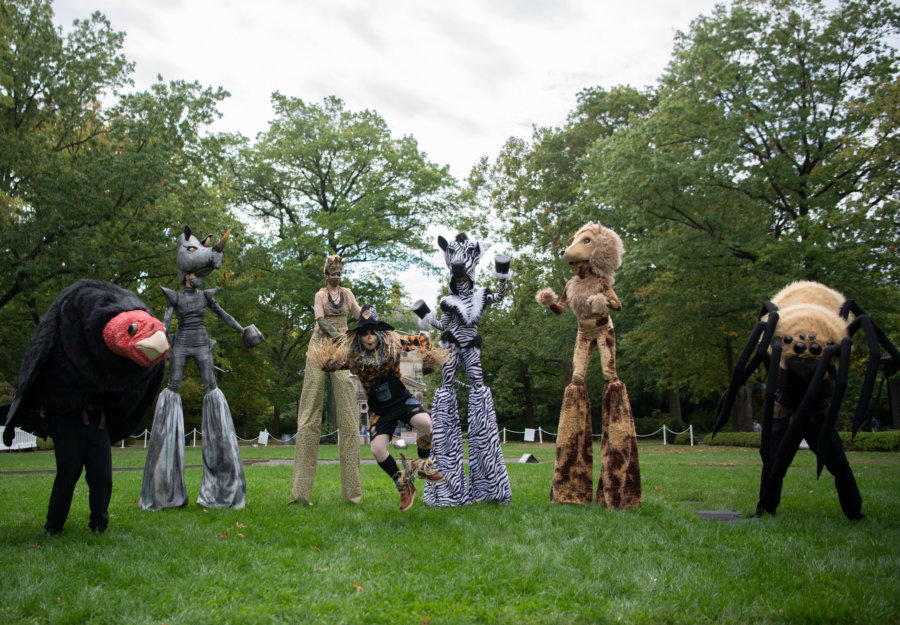 Boo at the Zoo to return with Halloweenthemed fun in the Bronx next