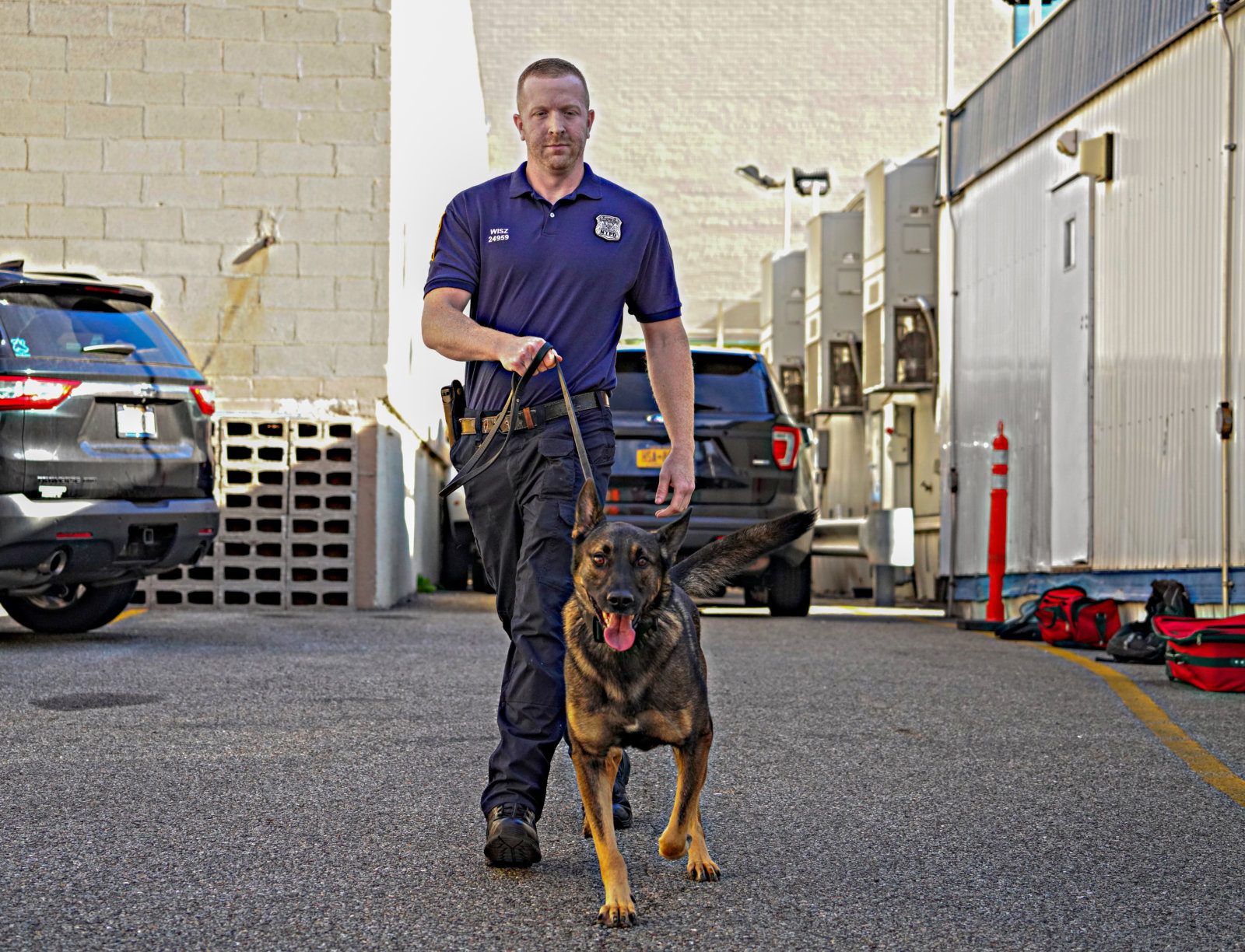 EXCLUSIVE: NYPD’s Newest Canine Members Specially Bred To Sniff Out ...