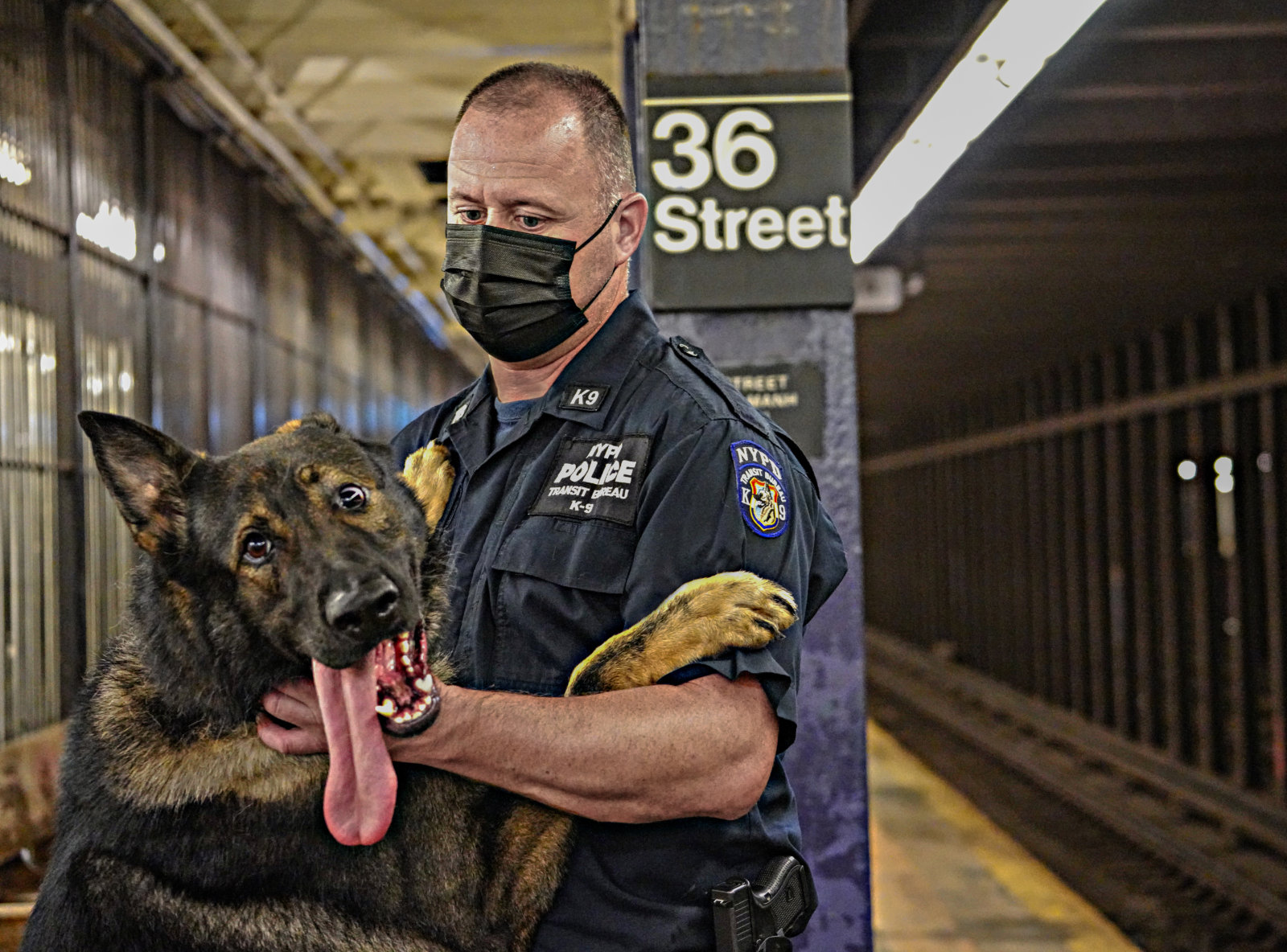 EXCLUSIVE: NYPD’s Newest Canine Members Specially Bred To Sniff Out ...