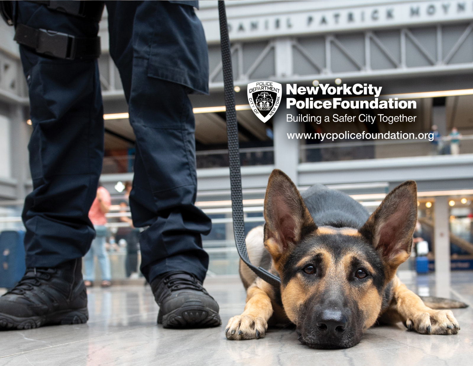 NYPD releases doggone good calendar for the New Year amNewYork