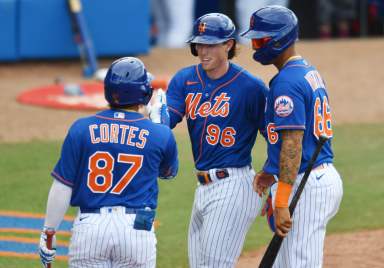 Mets' Brett Bay is congratulated by teammates at home plate after scoring an a double in the seventh inning against the St. Louis Cardinals.