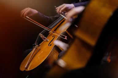 Cellos and musicians