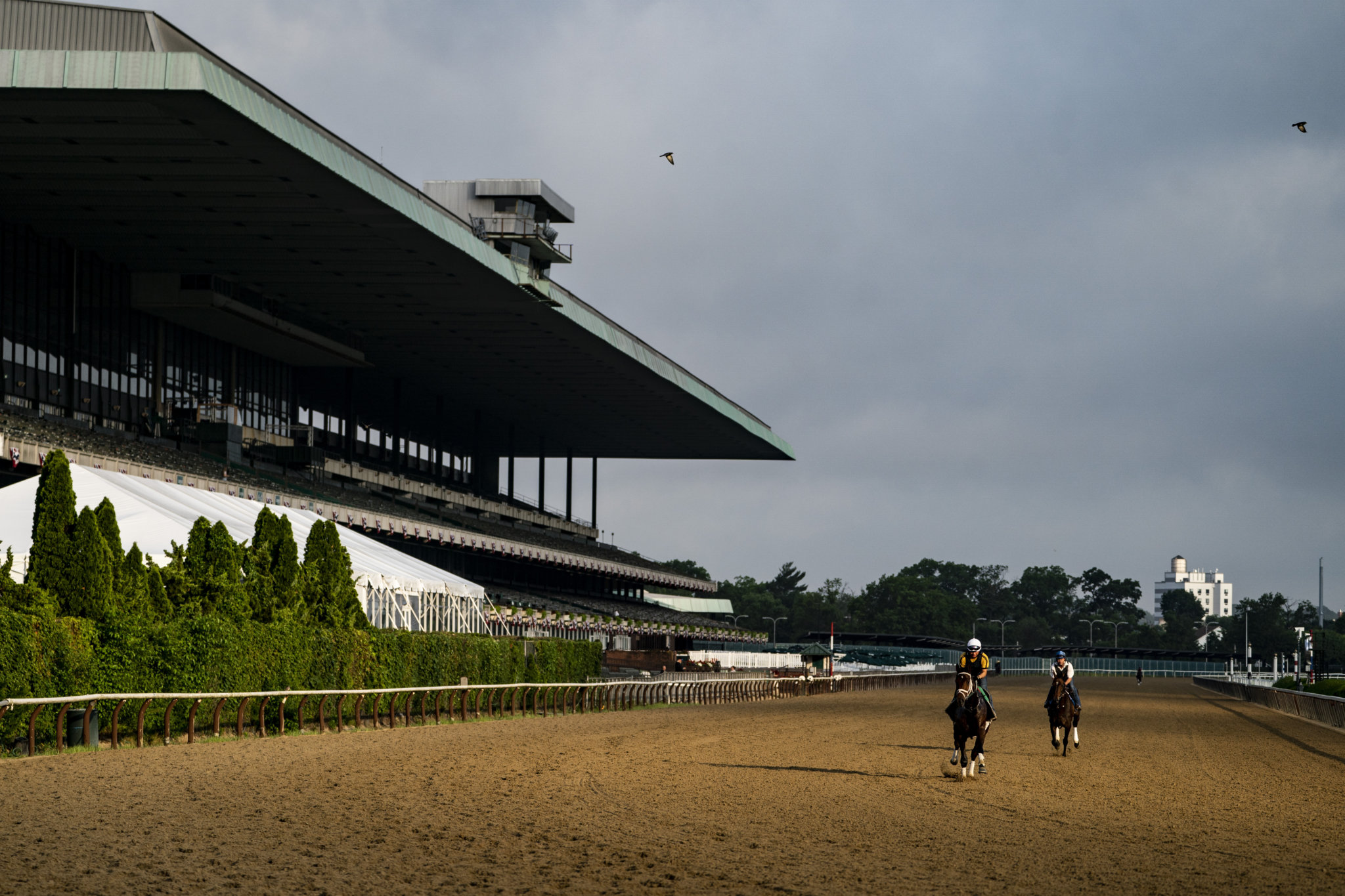 Nest looks to make Belmont Stakes history as fourth filly to win famed