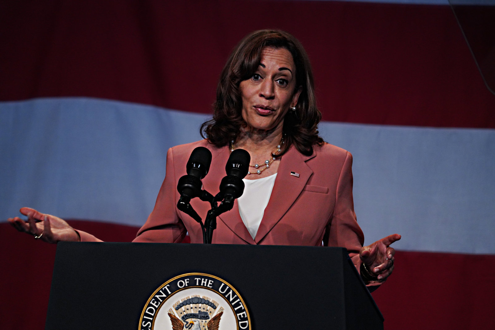 Vice President Kamala Harris visits Brooklyn to tout new Economic ...