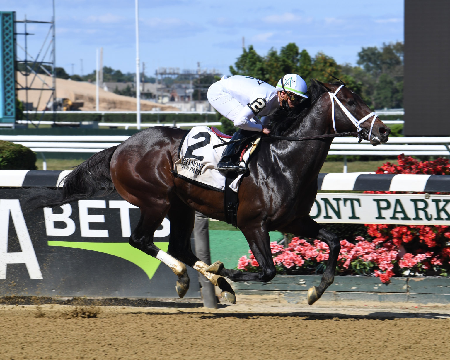 amNY at the Track Loaded Whitney Stakes field showcases top older