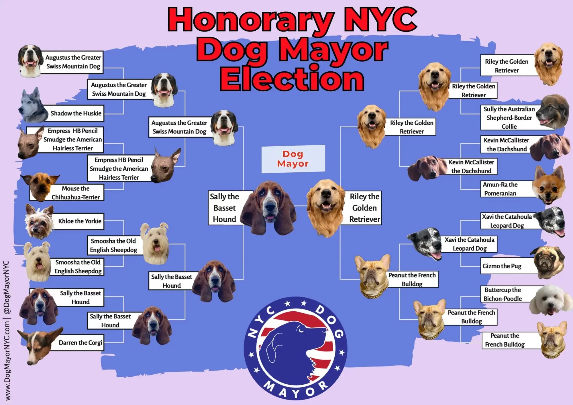 top-dog-the-new-canine-mayor-new-yorkers-didn-t-know-they-needed-but