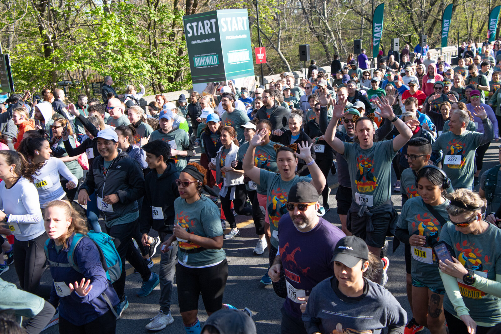 Run for sloths this spring at annual ‘Run for the Wild’ 5K at the Bronx