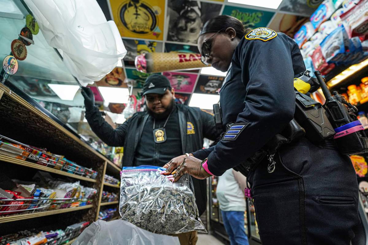 Bags of cannabis and mushrooms seized during a recent raid