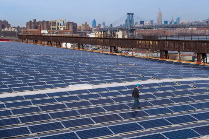 man walking on a field of solar panels