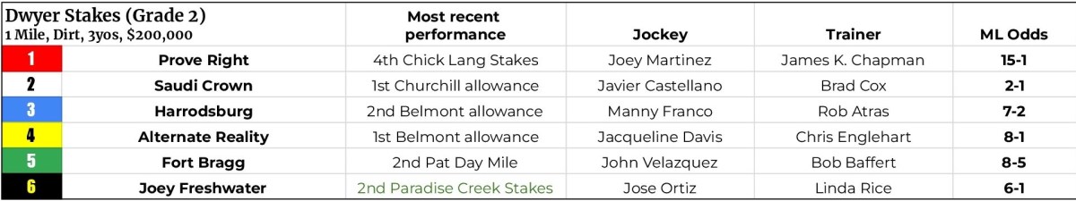 Belmont Park stakes field - Dwyer Stakes