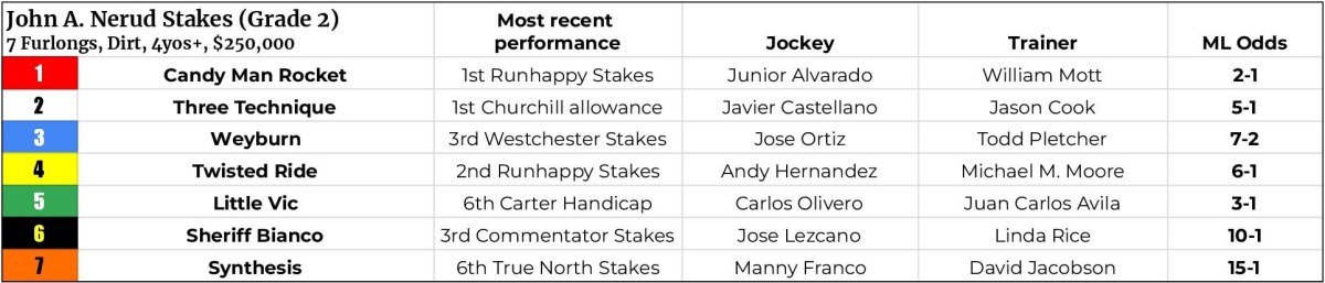 Belmont Park stakes race field- Nerud Stakes