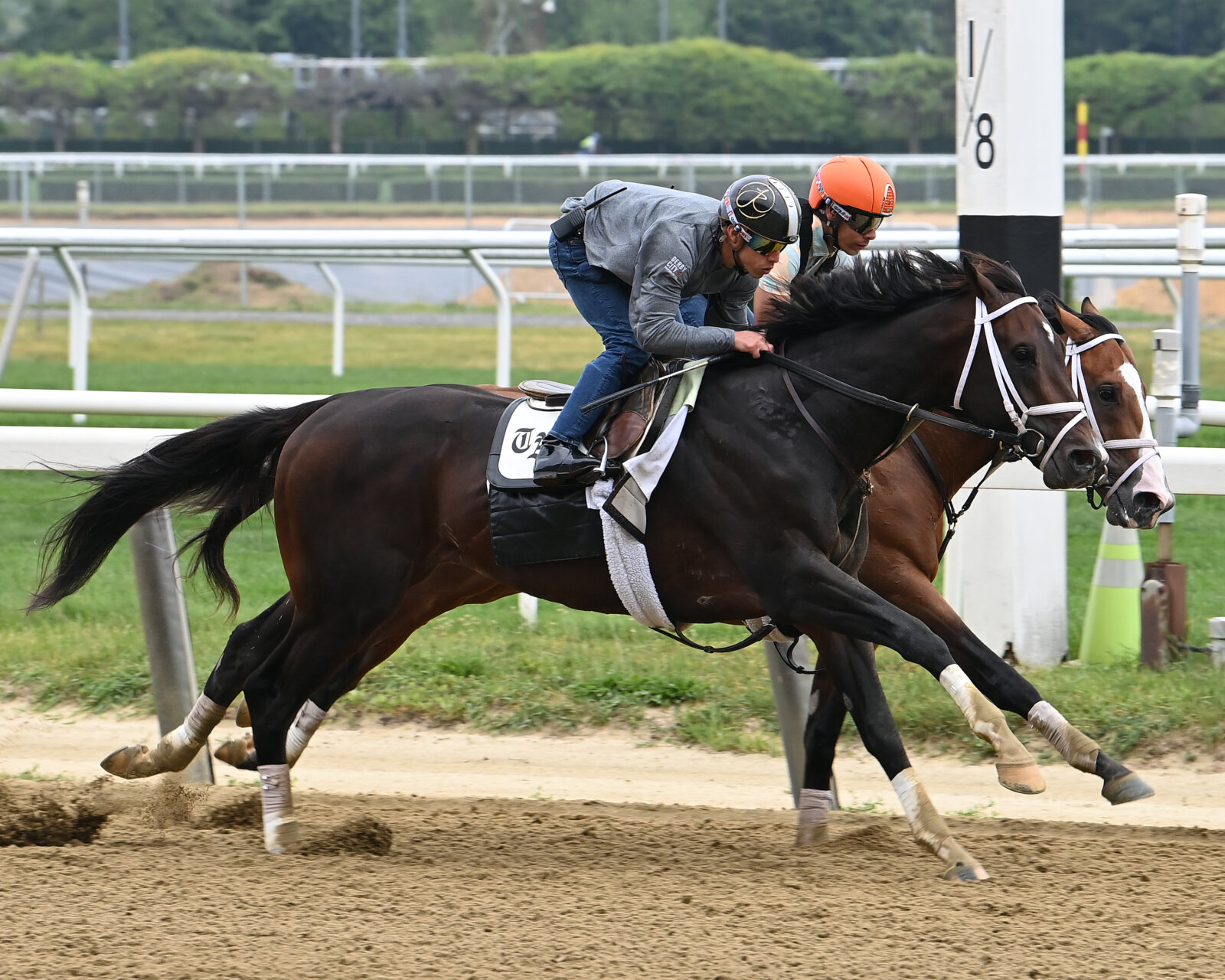 Belmont Stakes 2023 Predictions: Top Contenders Analyzed