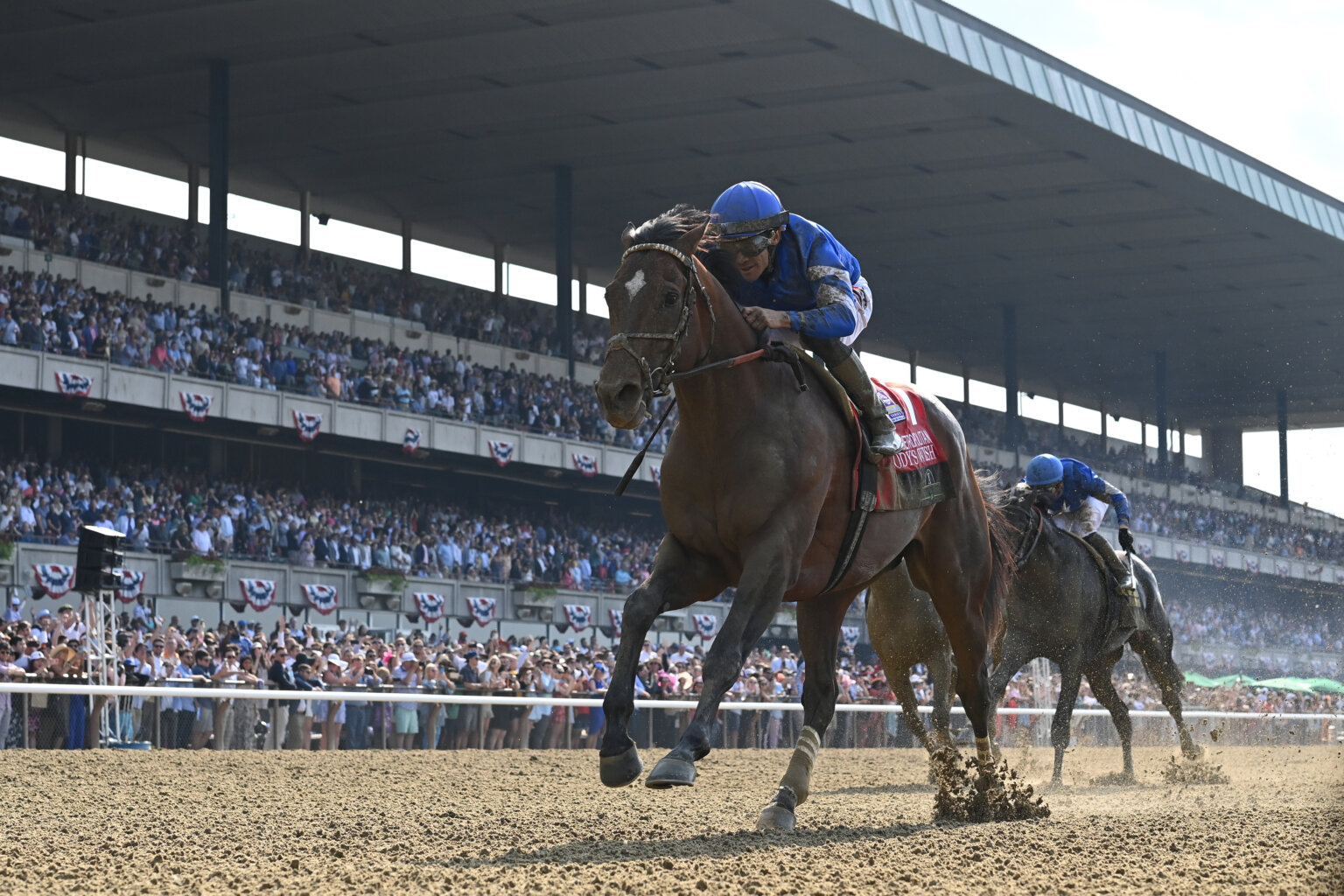 amNY at the Track Picks for Belmont Park stakes races Saturday; will