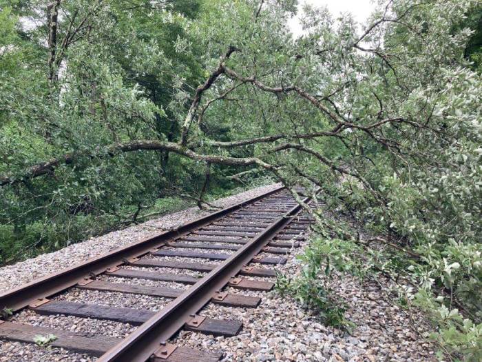 A fallen tree blocks the Harlem Line tracks in the Hudson Valley