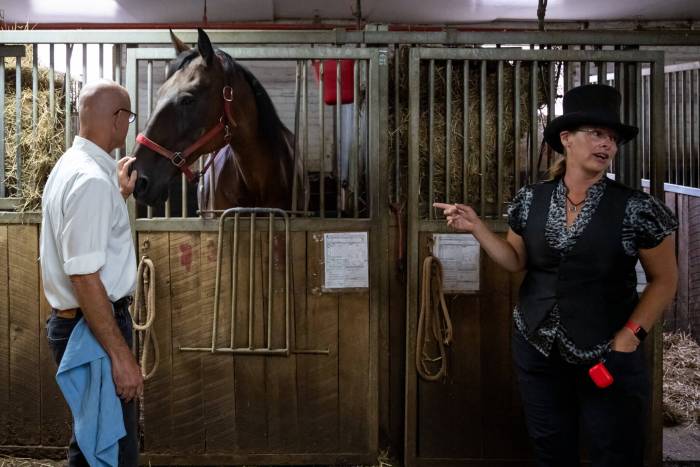 A horse hangs out with veterinarian Dr. Gabriel Cook (left) and carriage driver Christina Hansen