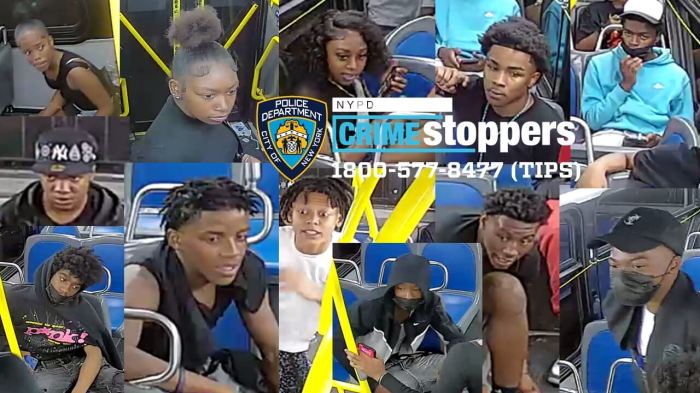 Suspects in brutal Bronx bus assault