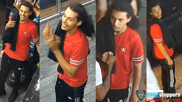 Brooklyn stabbing suspect surveillance images