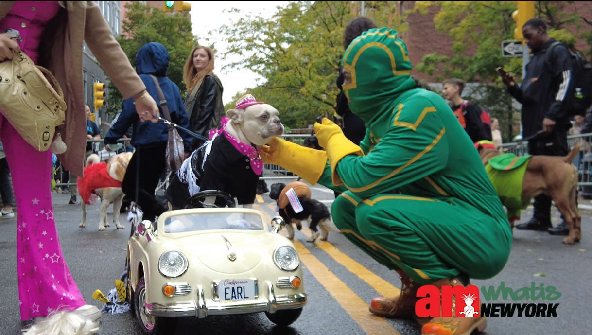 Photos: Bark at the Park returns for a howling good time