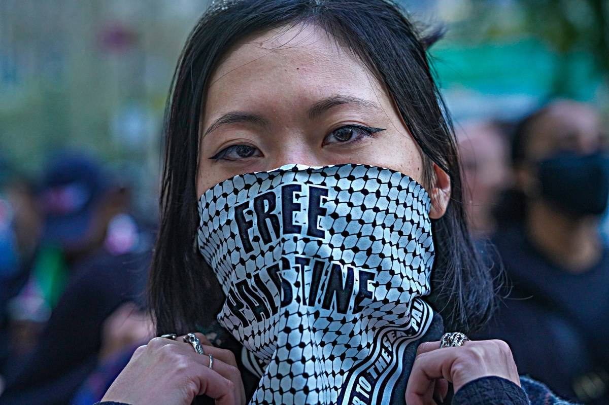 Pro-Palestine protester wearing mask ban