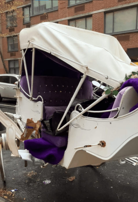 Carriage horse on West Side Highway