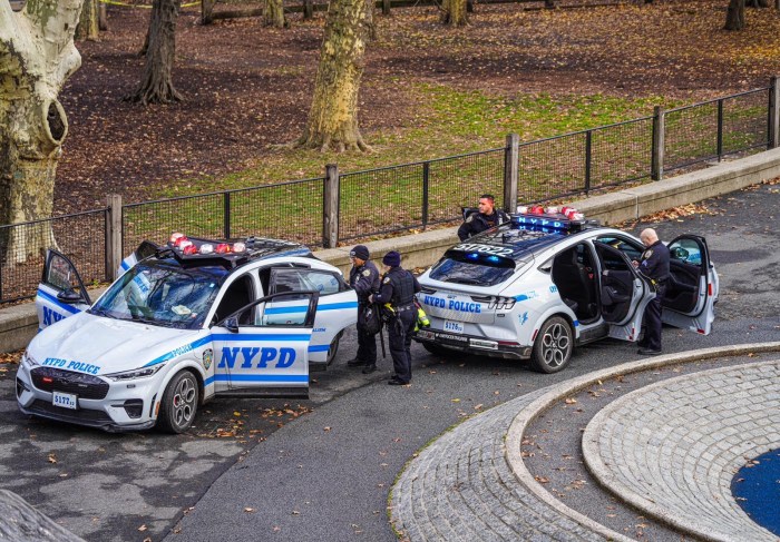 NYPD cordoned off the crime scene where a body was found in a children's playground in Central Park.